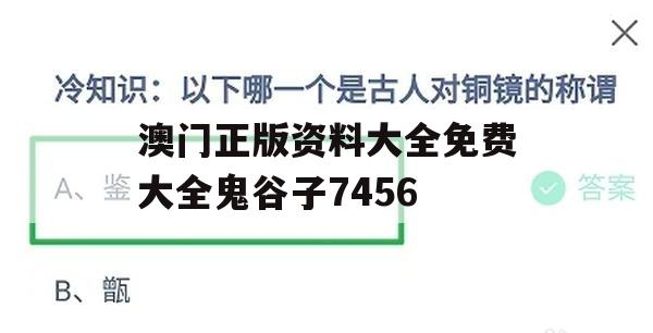 澳门正版资料大全免费大全鬼谷子7456,探讨决策过程中资料的重要性_尊享版0.234