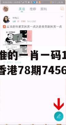 最准的一肖一码100%香港78期7456,定量分析解释落实_网红版0.473