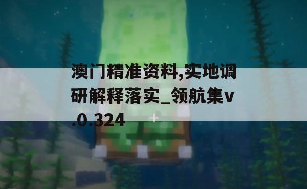 澳门精准资料,实地调研解释落实_领航集v.0.324