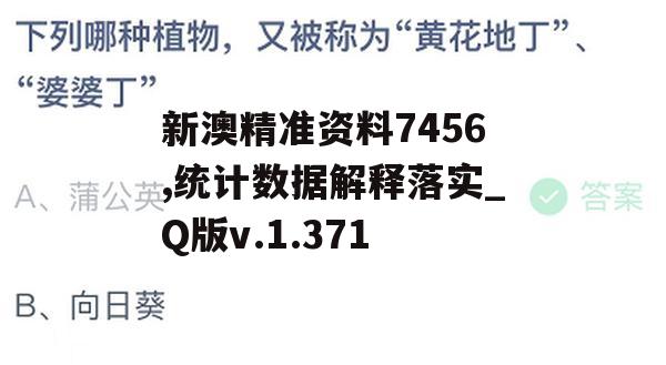 新澳精准资料7456,统计数据解释落实_Q版v.1.371