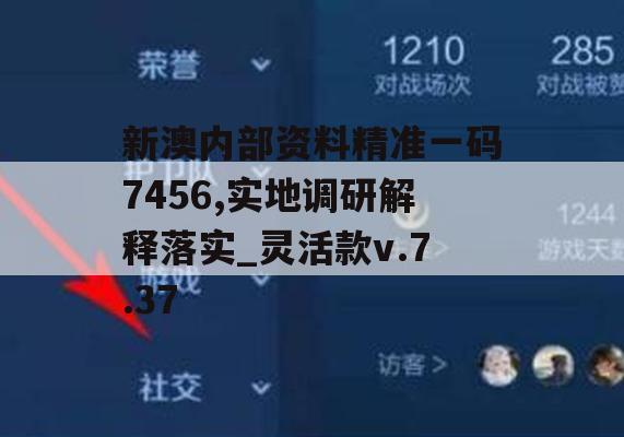 新澳内部资料精准一码7456,实地调研解释落实_灵活款v.7.37