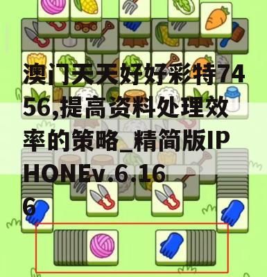 澳门天天好好彩特7456,提高资料处理效率的策略_精简版IPHONEv.6.166