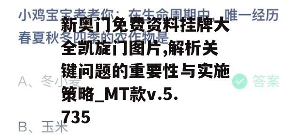 新奥门免费资料挂牌大全凯旋门图片,解析关键问题的重要性与实施策略_MT款v.5.735