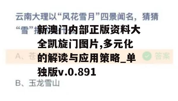 新澳门内部正版资料大全凯旋门图片,多元化的解读与应用策略_单独版v.0.891