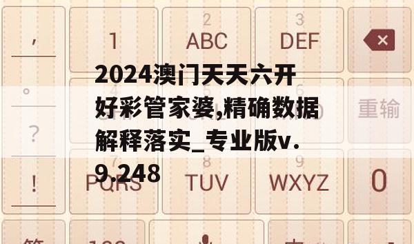 2024澳门天天六开好彩管家婆,精确数据解释落实_专业版v.9.248