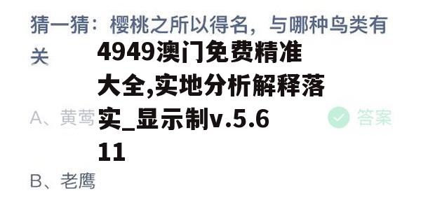 4949澳门免费精准大全,实地分析解释落实_显示制v.5.611