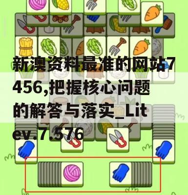 新澳资料最准的网站7456,把握核心问题的解答与落实_Litev.7.576