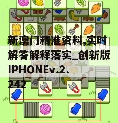 新澳门精准资料,实时解答解释落实_创新版IPHONEv.2.242