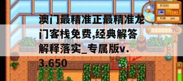 澳门最精准正最精准龙门客栈免费,经典解答解释落实_专属版v.3.650