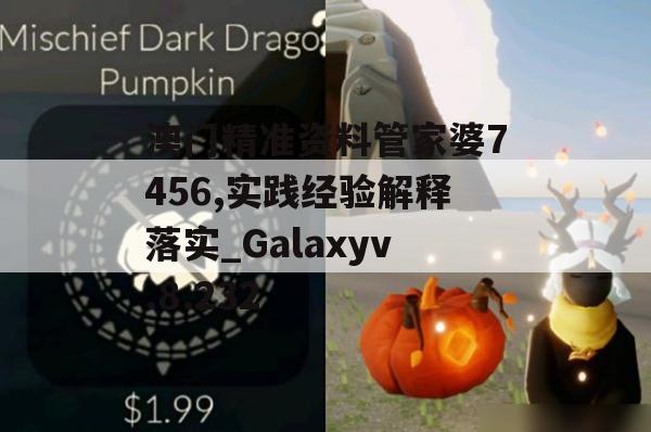 澳门精准资料管家婆7456,实践经验解释落实_Galaxyv.8.232