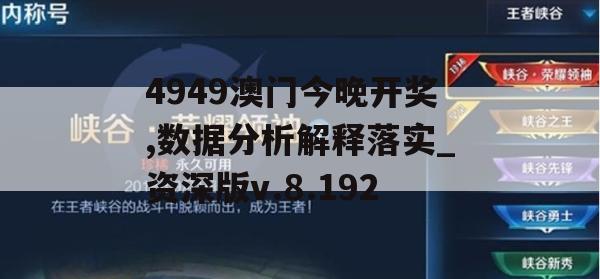 4949澳门今晚开奖,数据分析解释落实_资深版v.8.192