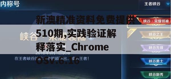 新澳精准资料免费提供510期,实践验证解释落实_ChromeOSv.6.16